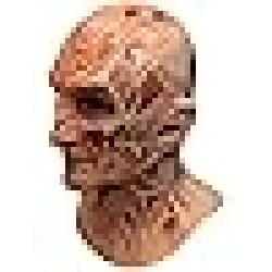 Máscara Freddy Krueger Luxo Clássica