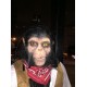 Máscara Macaco para Aplicação de Maquiagem