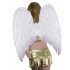 Asa Anjo Branca Adulto Luxo
