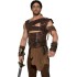 Fantasia Bárbaro Guerreiro Medieval Adulto Luxo