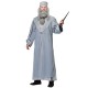 Fantasia Dumbledore Adulto Luxo