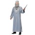 Fantasia Dumbledore Adulto Luxo