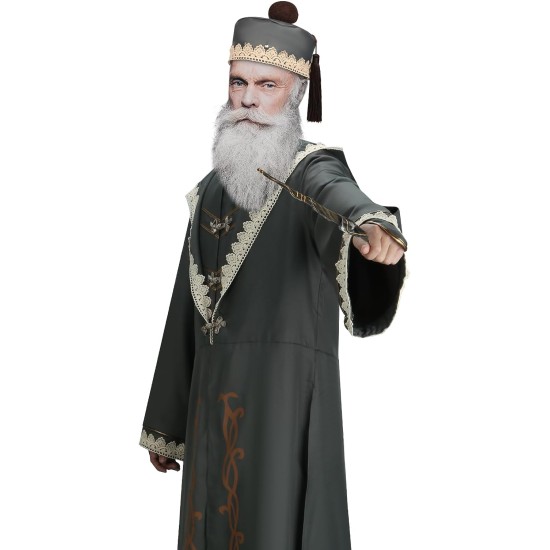 Fantasia Dumbledore Harry Potter Adulto De Luxo