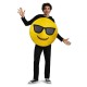 Fantasia Emoji Óculos de Sol Adulto