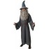 Fantasia Gandalf Hobbit Adulto