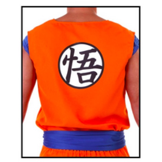 Fantasia Goku Dragon Ball Adulto