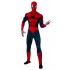 Fantasia Homem Aranha Adulto Luxo Clássica