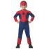 Fantasia Homem Aranha Bebê Luxo