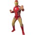 Fantasia Homem de Ferro Adulto Luxo com Músculos Patriot