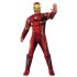 Fantasia Homem de Ferro Guerra Civil Adulto Luxo