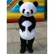 Fantasia Panda Mascote Adulto Elite