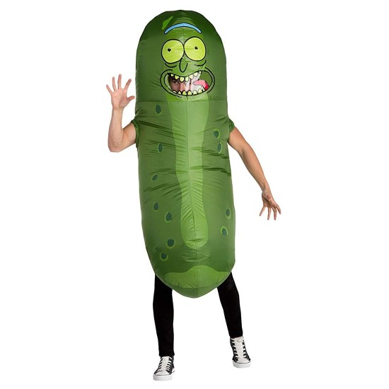 Fantasia Rick e Morty Pikle Rick Adulto Inflável