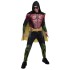 Fantasia Robin Adulto Arkham City Luxo