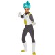 Fantasia Vegeta Dragon Ball Z Adulto