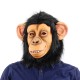 Máscara de Latex Macaco Moderna