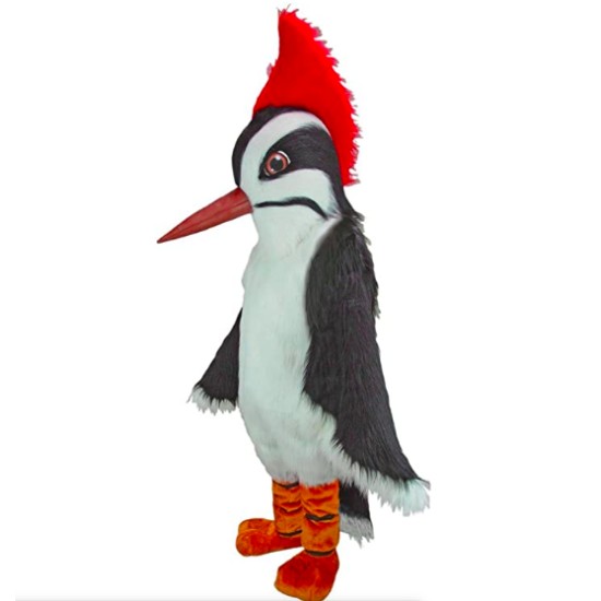 Mascote Pica Pau Adulto Pássaro