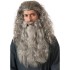Peruca e Barba Gandalf Senhor dos Aneis Adulto