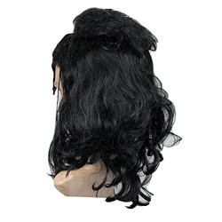 Peruca Kiss Demon Luxo Adulto