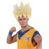 Peruca Super Saiyan Goku Dragon Ball Adulto