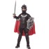 Fantasia Cavaleiro Guerreiro Medieval Infantil Luxo
