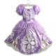 Fantasia Infantil Princesa Sophia Elite
