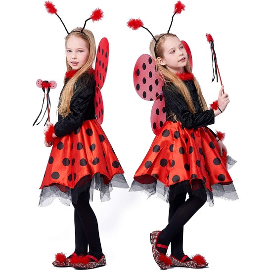 Fantasia Joaninha Infantil Luxo Bailarina