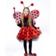 Fantasia Joaninha Infantil Luxo Bailarina
