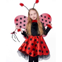 Fantasia Joaninha Infantil Luxo Bailarina