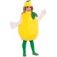 Fantasia Fruta Limão Infantil