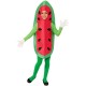 Fantasia Fruta Melancia Infantil
