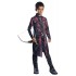 Fantasia Hawkeye Os Vingadores 2 Era de Ultron Infantil