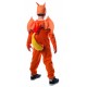 Fantasia Pokemon Charizard Infantil