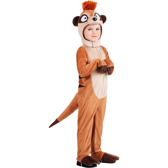 Fantasia Rei Leão Timão Disney Bebê Luxo