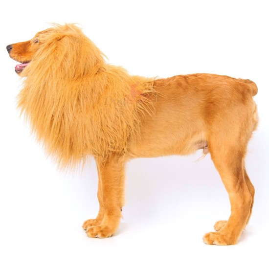 Peruca de Leão para Animais