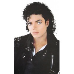 Peruca do Michael Jackson Cacheado Adulto