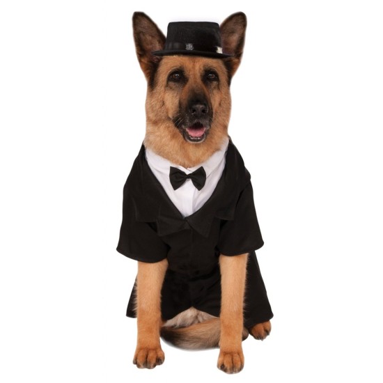 Fantasia para Cachorro Terno Social Noivo