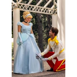 Fantasia Príncipe Adulto Masculino Luxo Royal Charming