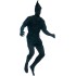 Fantasia Sombra Peter Pan Adulto 