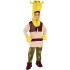 Fantasia Shrek Infantil