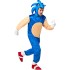 Fantasia Sonic the Hedgehog Luxo Adulto Elite