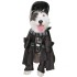 Fantasia para Cachorro de Darth Vader Star Wars
