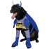 Fantasia para Cachorro Batman
