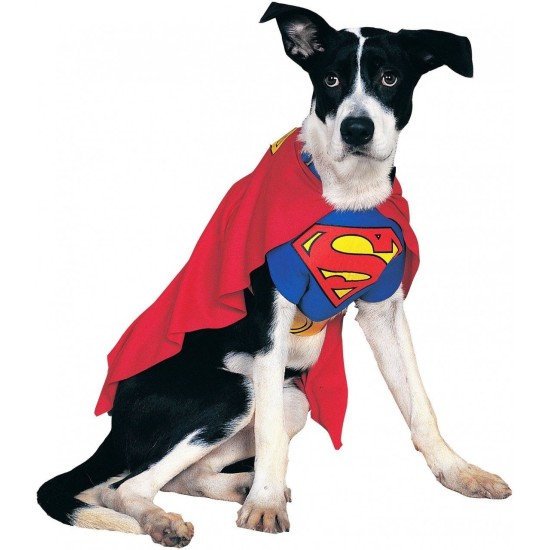 Fantasia para Cachorro Superman Super Homem