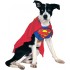 Fantasia para Cachorro Superman Super Homem